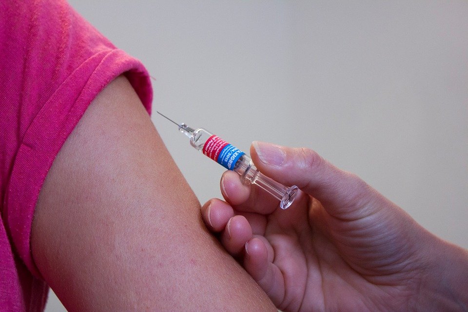 papilloma virus papilloma virus