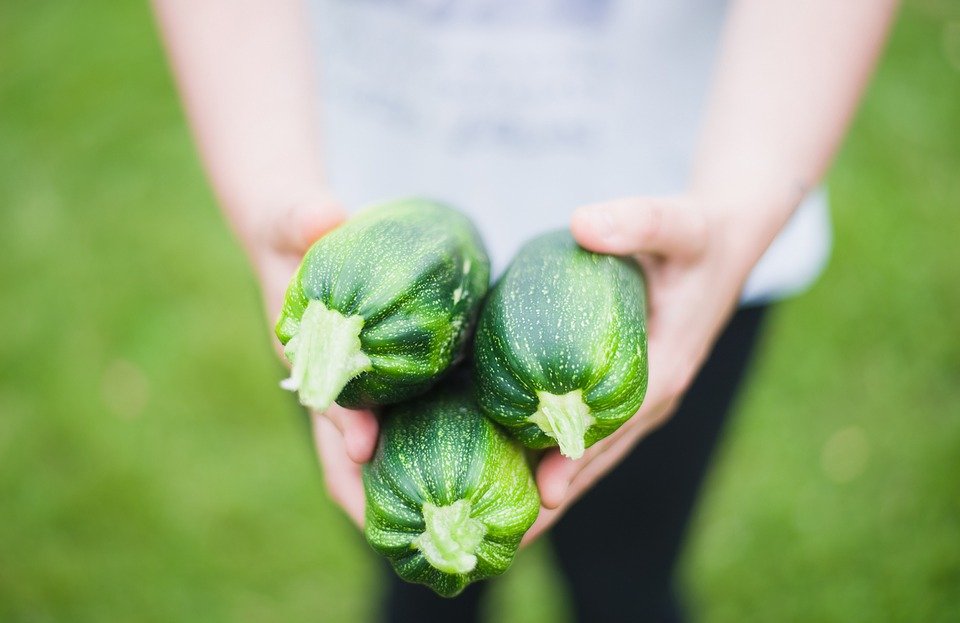 vellutata di zucchine