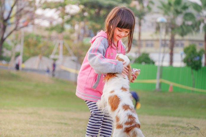 Animali domestici quale scegliere